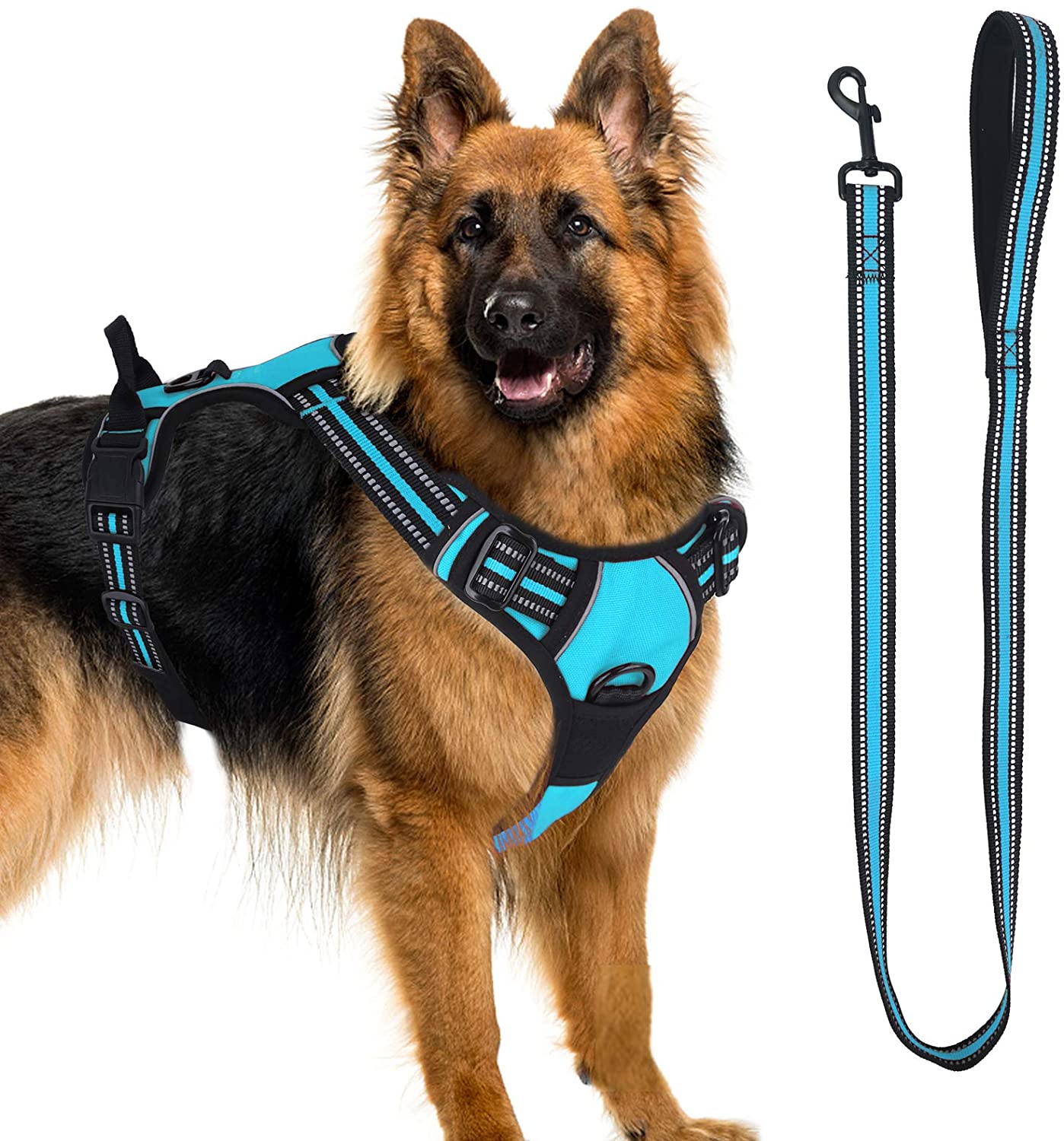 matching dog collar and harness