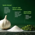 thumbnail image 4 of Bell Blood Pressure Formulation Combo - Mezcla natural &uacute;nica de extracto de grano de caf&eacute; verde, ajo y extracto de semilla de apio - Suplementos par, 4 of 6