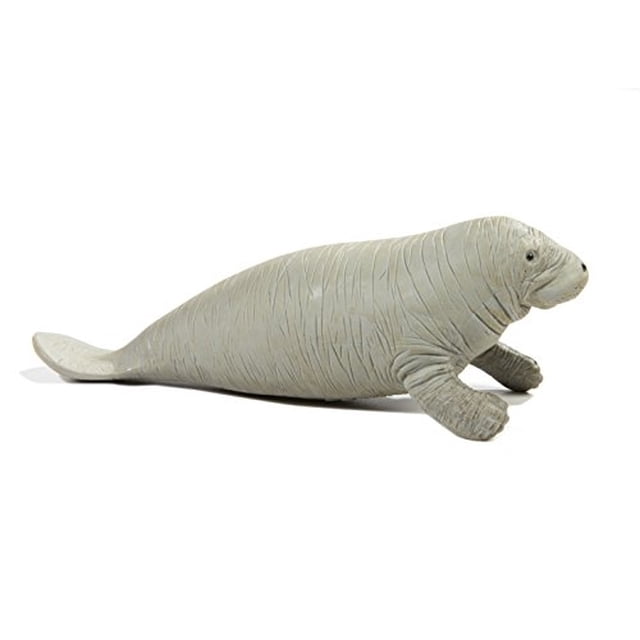 Manatee Safari Ltd Wild Safari Sea Life