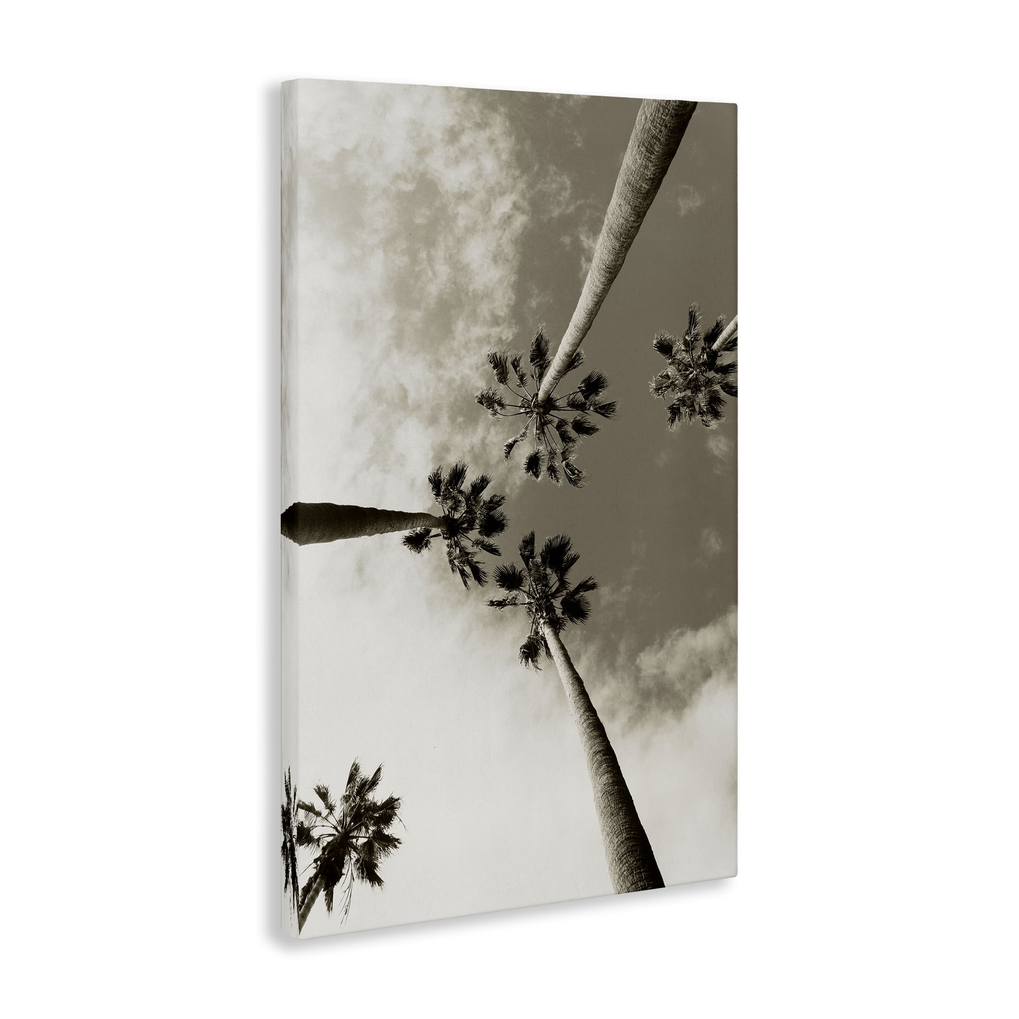 Stupell Industries Centric Palm Trees Botanical & Floral Photography Gallery Wrapped Canvas Art Print Wall Art, 20 x 30