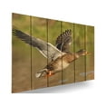 thumbnail image 3 of Day Dream MM2216 22 x 16 in. Majestic Mallard Inside & Outside wood Wall Art, 3 of 7