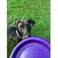 thumbnail image 2 of Dog Jump Catch and Fetch Toys Floating Interactive Foam Flyer Glider Disc FUN! (11" Random Color - Discounted), 2 of 6