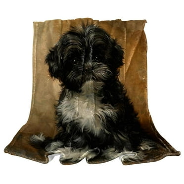 Black Shih Tzu Dog Puppy Warm Cozy Throw Blanket Microfiber Fleece Blankets for Couch Sofa Bedroom, 50x60 inches