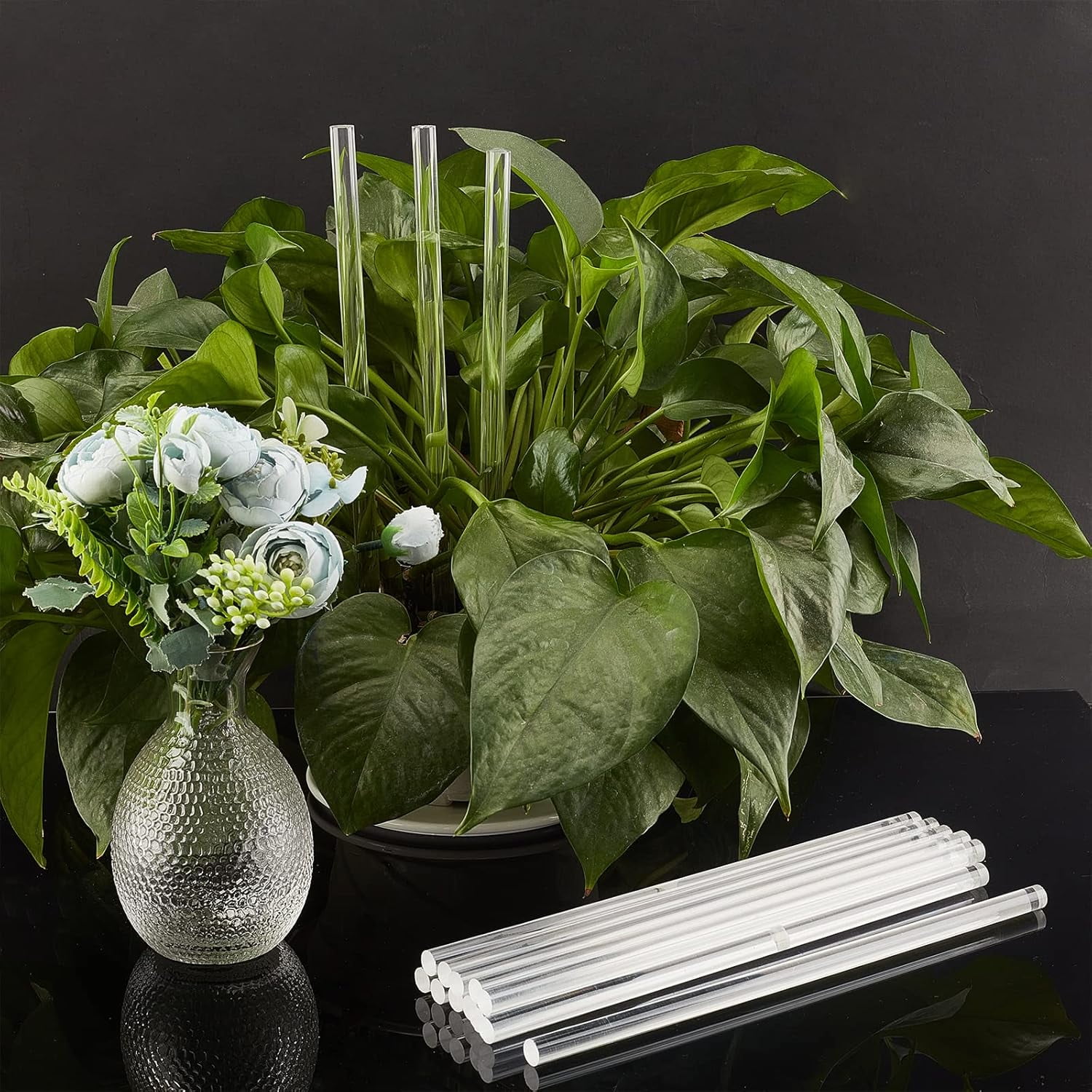 16 Pcs Acrylic Round Rods 10 inch Clear Acrylic Dowel Rods Holder Cake Dowels Plastic Cylinder Sticks for DIY Craft Plant Stake Curtain Pulls Retaining Shower Rods Cake Topper Dessert Clear