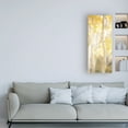 thumbnail image 3 of Trademark Fine Art 'Yellow Birch 3' Canvas Art by Dan Ballard, 3 of 3