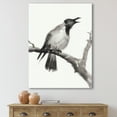 thumbnail image 2 of Designart ' Monochrome Crying Crow On A Branch ' Traditional Canvas Wall Art Print, 2 of 4