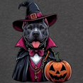 thumbnail image 3 of CafePress - Costumed Pitbull Halloween Women's Comfort Colors® T Shirt - Womens Comfort Colors® Shirt, 3 of 4