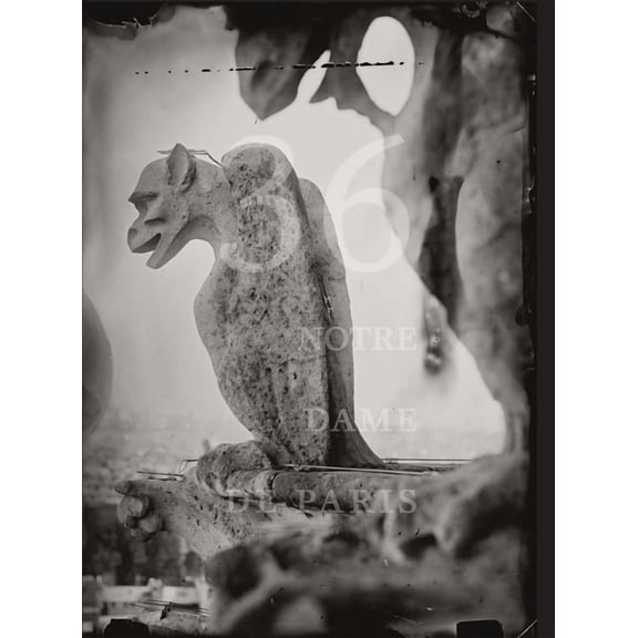 Tomas Van Houtryve: 36 Views of Notre Dame, (Hardcover)