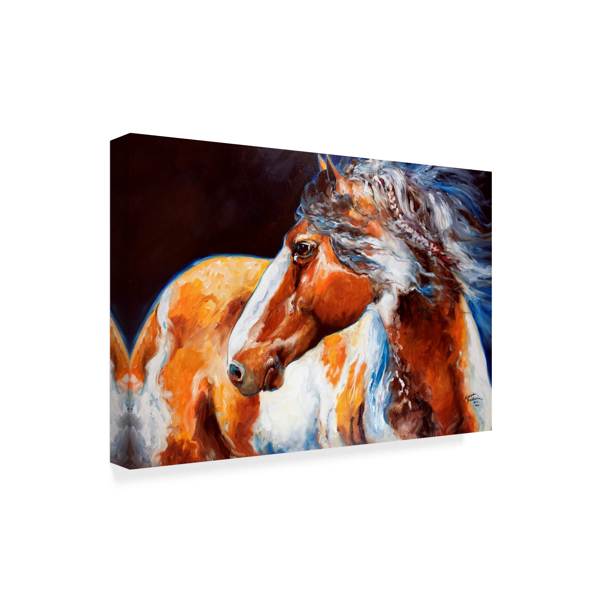 Trademark Fine Art 'Mohican Indian War Horse' Canvas Art by Marcia Baldwin