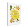 thumbnail image 2 of Trademark Fine Art 'Dahlia Delight of the Day III' Canvas Art by Kristy Rice, 2 of 3