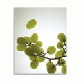 thumbnail image 2 of Gango Home Decor Contemporary Grape Bunch II by Monika Burkhart (Printed on Paper); One 16x20in Fine Art Paper Giclee Print, 2 of 4