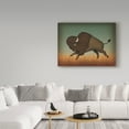 thumbnail image 3 of Trademark Fine Art 'Buffalo Bison II' Canvas Art by Ryan Fowler, 3 of 3