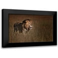 thumbnail image 1 of Chang, Phillip 14x11 Black Modern Framed Museum Art Print Titled - Lion King, 1 of 5