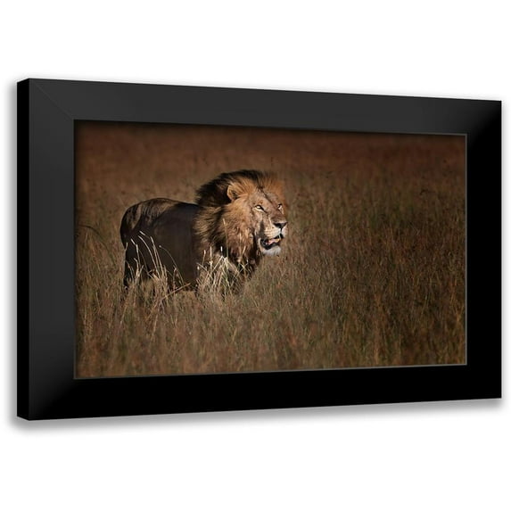 Chang, Phillip 14x11 Black Modern Framed Museum Art Print Titled - Lion King