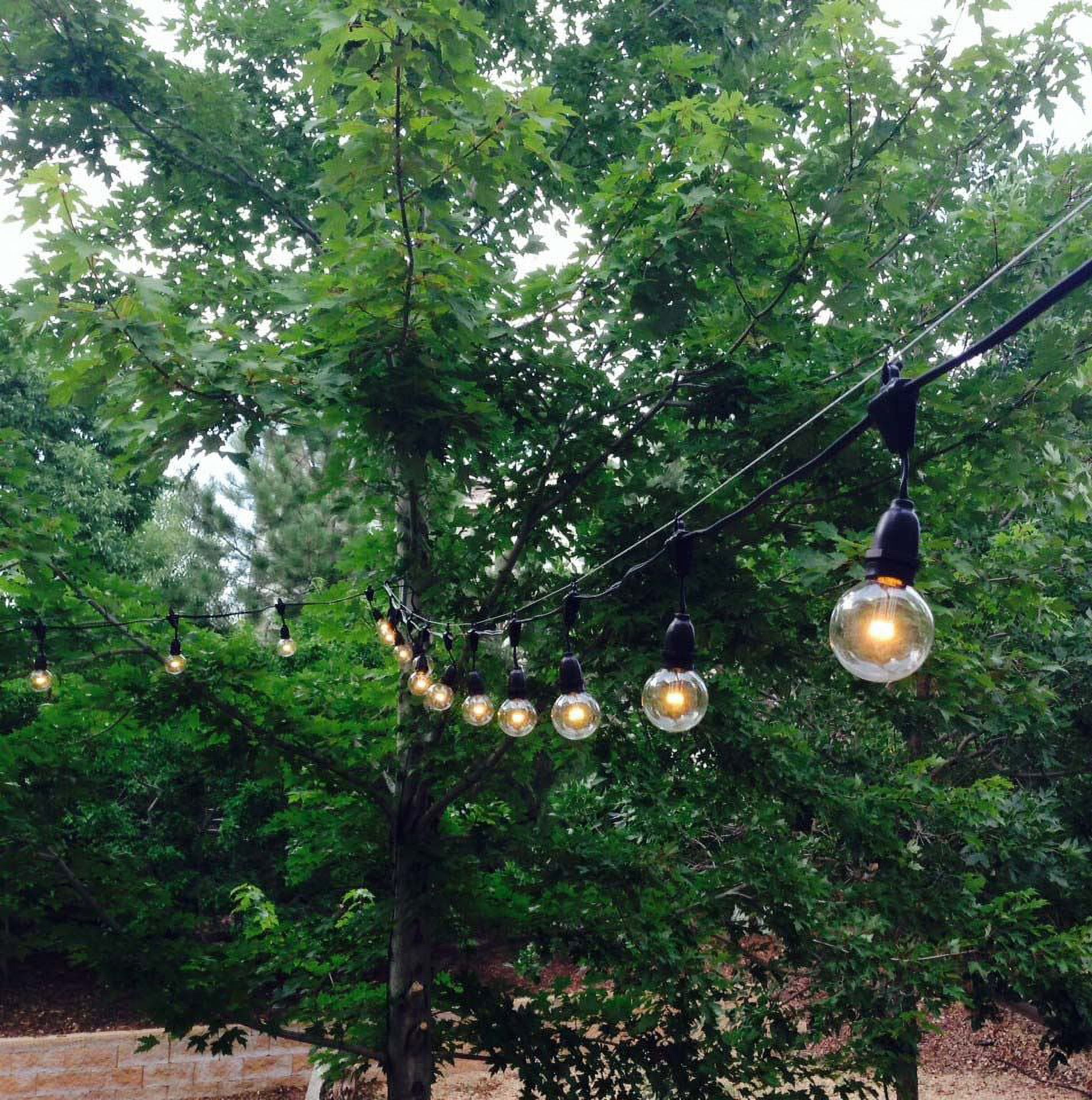 Novelty Lights Warm White G50 Globe Hanging LED String Light Replacement Bulbs E17 Intermediate Base 1 Watt