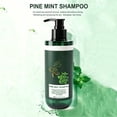 thumbnail image 2 of Pine Mint Shampoo For Deep Cleansing Refreshing Scalp Care Oil Control Dandruff Relief Volumizing With Natural Botanical Extracts 300ml, 2 of 7