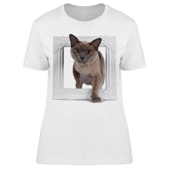 Cute Cat Walking Trough A Frame T-Shirt Women -Image by Shutterstock, Female Large