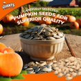 thumbnail image 2 of GIANTS Pumpkin Seeds - Pumpkin Seeds in Shell, Pumpkin Seeds to Eat, Roasted and Salted, Whole Pumpkin Seeds with Shell, High Protein Snack with 15g Protein Per Serving - 5.15 oz Pack of 2, 2 of 7