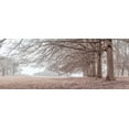 thumbnail image 2 of Frank, Assaf 14x8 White Modern Wood Framed Museum Art Print Titled - Trees in a row, 2 of 4