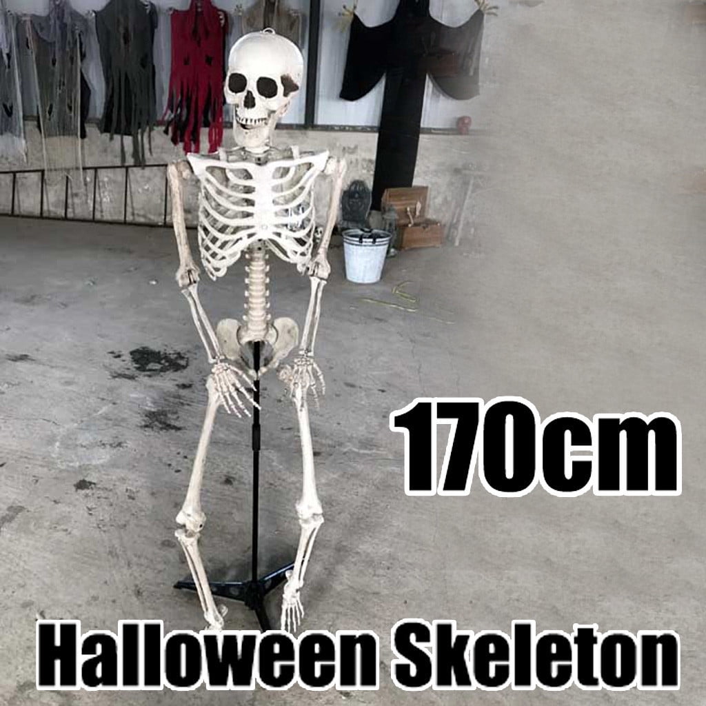 Details about Halloween Prop Human Skeleton Full Size Skull Hand Life Body Anatomy Model Decor Details about Halloween Prop Human Skeleton Full Size Skull Hand Life Body Anatomy Model Decor