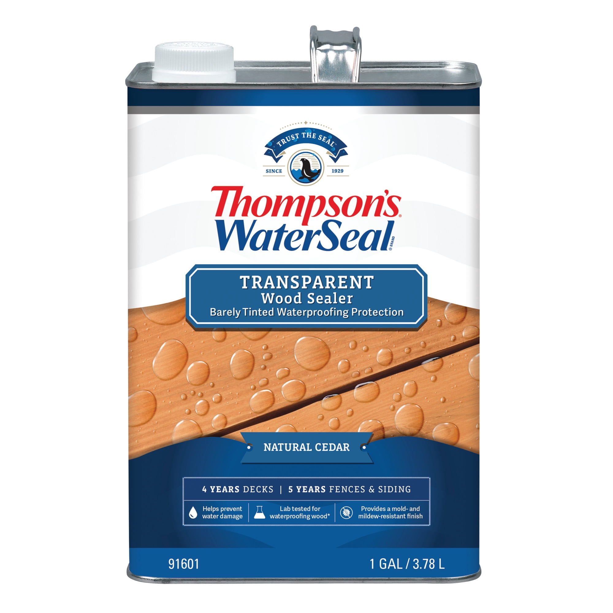 (2 pack) Thompson's WaterSeal Transparent Exterior Wood Sealer, Natural Cedar, 1 gal