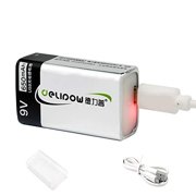 Delipow USB 9V Lithium ion Rechargeable Battery, High Capacity 650mAh Rechargeable 9V Battery, 1.5 H Fast Charge, 800 Cycle with Micro USB Cable, 1-Pack