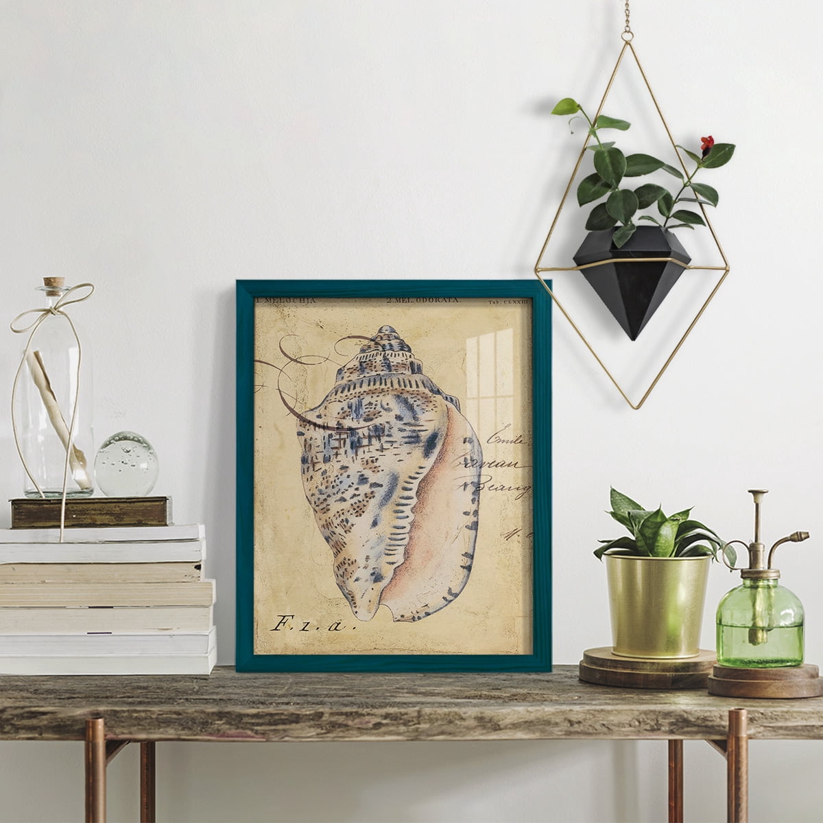 Seashell Ephemera I - Framed Print w/glass - Ocean Blue