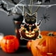 thumbnail image 5 of Uuiauoio Halloween Pumpkin Acrylic Pendant Car Backpack Keychain Decoration Cute Design Festive Gift for Home Decor Print Durable Attachment,Halloween Pendant, 5 of 7