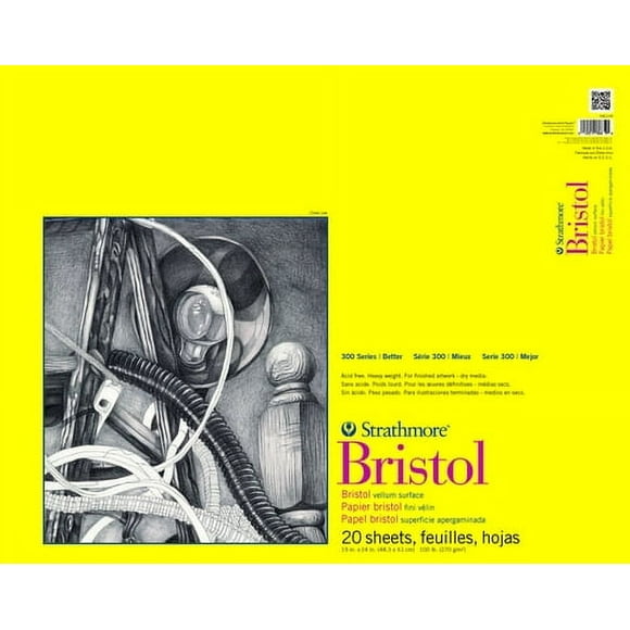 Strathmore Bristol Bloc-Notes en Vélin 14 Pouces X 17 Pouces - 20 Feuilles