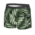 thumbnail image 2 of Bingfone Tropical Palm Leaves1 Men'S Underwear - Casual Stretch Boxer Briefs-Xx-Large, 2 of 9