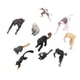 thumbnail image 1 of Juego de Modelos Animales ANGGREK 10 Piezas Adorno de Mono de Plástico Resistente Al Envejecimiento, 1 of 8