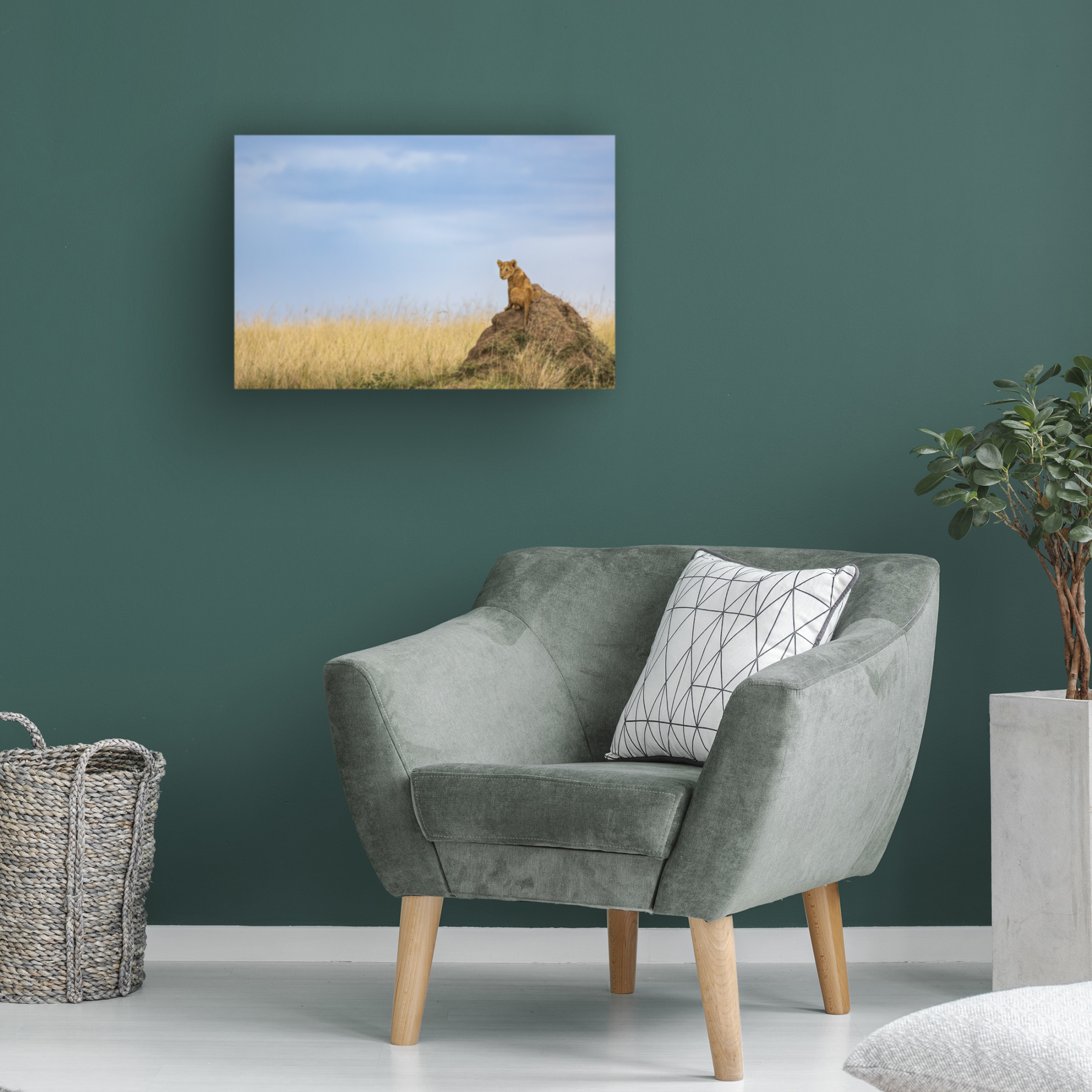 Trademark Fine Art Lokesh Kumar Rastogi The Prince Canvas Wall Art
