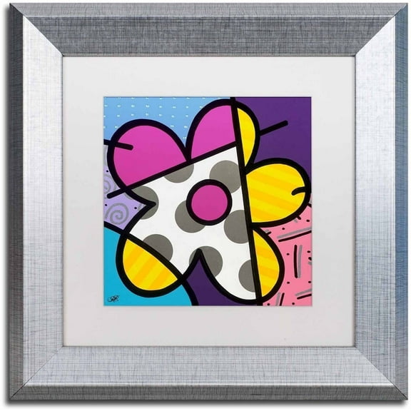 Trademark Fine Art 'Big Flower II' Canvas Art by Roberto Rafael, White Matte, Silver Frame