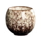 thumbnail image 2 of Exquisitas tazas de té japonesas, taza de té Kung Fu, taza de té para cafetería, ceremonia del té, fiesta J, 2 of 9