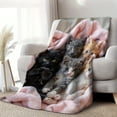 thumbnail image 2 of 1pc Soft Plush Flannel Cat Print Blanket - Cozy Fantasy Theme with 6 Adorable Kittens, Mixed Colors, All-Season Indoor/Outdoor Use for Home, Camping & Travel, Whimsical Kitten Design, 2 of 5
