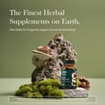 thumbnail image 3 of Gaia Herbs Reishi Mushroom - Traditionally Used to Support a Healthy Immune System & Heart Health - Adaptogen Herbal Supplement for Longevity Support* - 40 Vegan Capsules (40 Servings), 3 of 9