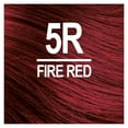 thumbnail image 2 of Naturtint 5R Fire Red Permanent Hair Color, 1 Pack (Packaging May Vary), 2 of 7