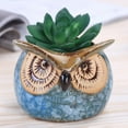 thumbnail image 6 of FRCOLOR  6 Pcs Succulent Basin Flowerpot Owl Vase Planter Planters for Indoor Plants, 6 of 8