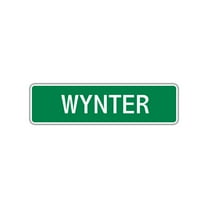 Wynter Girls Children Name Letter Printed Plaque Decoration Label Indoor Outdoor Unique Wall Novelty Aluminum Metal Sign 4"x13.5"