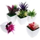 thumbnail image 2 of 7 mini macetas para plantas, pequeñas macetas para bonsáis, de escritorio, modelo de planta falsa., 2 of 6