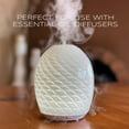 thumbnail image 3 of Ola Prima Rose Geranium Essential Oil , 8 fl oz, 3 of 8