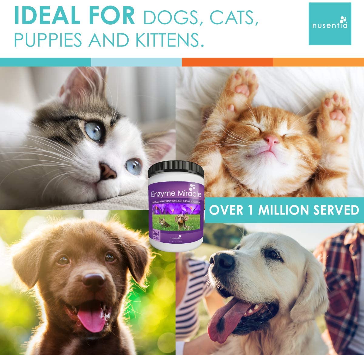 Enzyme Miracle | 364 Servings, Powder | Digestive Enzymes for Dogs and Cats | For indigestion, food intolerance, weight gain, weight loss, stool eating, and improved elimination