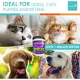 thumbnail image 5 of Enzyme Miracle | 364 Servings, Powder | Digestive Enzymes for Dogs and Cats | For indigestion, food intolerance, weight gain, weight loss, stool eating, and improved elimination, 5 of 6