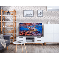 thumbnail image 4 of Smart TV SHARP  65 Pulgadas 4K Ultra HD Android HDR Pantalla LED 4TC65CK5UD, 4 of 5