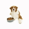 thumbnail image 2 of One Paw , Petit Bol Double pour Chien en Acier Inoxydable, 1.3L (44 oz), 2 of 5