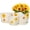 Sunflower, variant on Grey Flower Pots,Texture Planter for Indoor Plants Set of 3 Ceramic Flower Pots with Saucer,Cute Garden Pots Succulent Pots(3 Pack,Grey