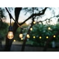 thumbnail image 4 of Xtricity - Outdoor LED String Lights, Waterproof, 24 Feet Long, 2200K Soft White, 4 of 4