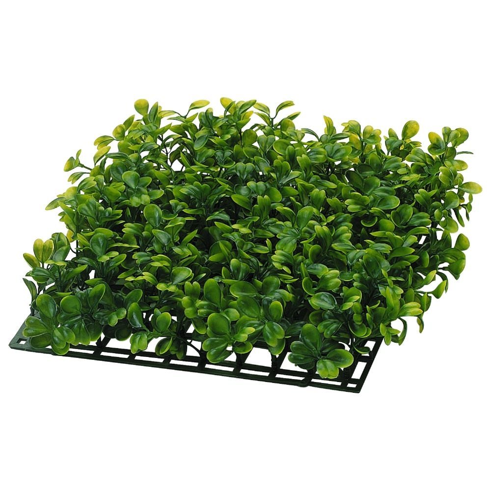Tetra Tetrafauna 20-Gallon Deluxe Aquatic Turtle Tank Kit photo 4