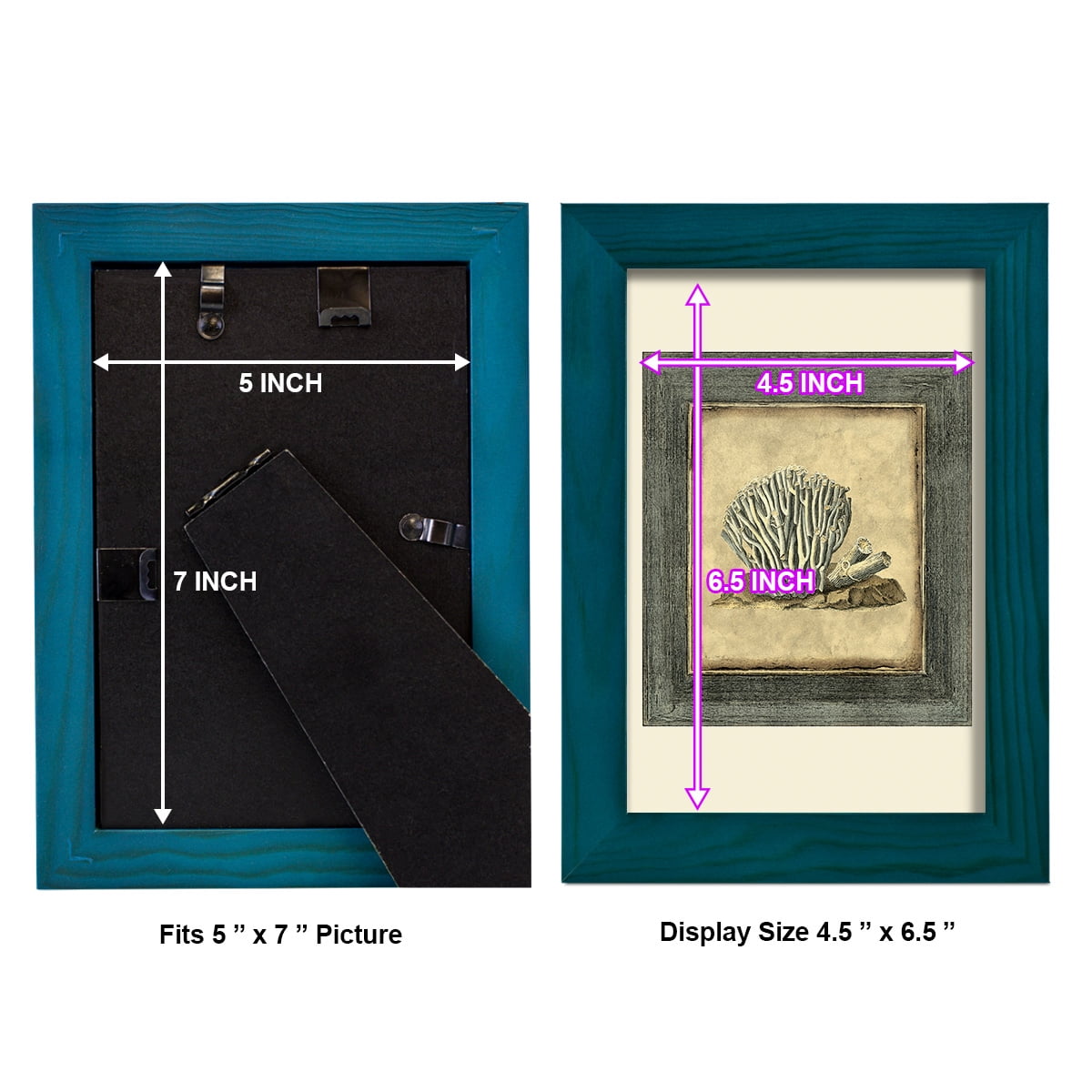 Mini Exotic Coral IX (U) - Framed Print w/glass - Ocean Blue