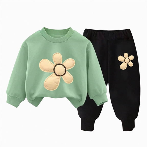 TOWED22 Toddler Clothes For Girls Baby Flower Fall Winter Outfits Cute Graphic Print Sweatshirt Pullover Cute Pants Set,Green,2-3 Y